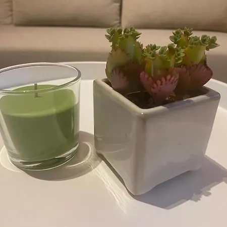 Ruim Duplexappartement Met Groot Terras * أوستيند