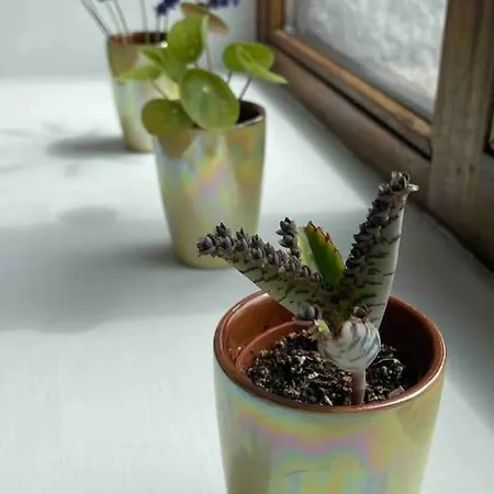 شقة Ruim Duplexappartement Met Groot Terras