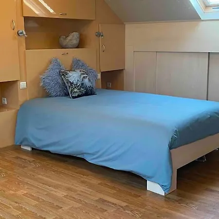 Ruim Duplexappartement Met Groot Terras * أوستيند