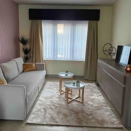 شقة Ruim Duplexappartement Met Groot Terras أوستيند