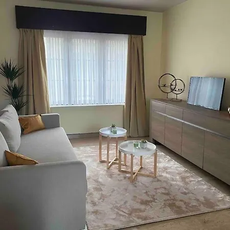 Ruim Duplexappartement Met Groot Terras أوستيند