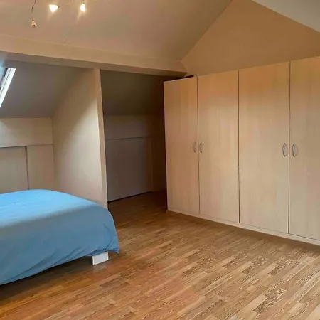 Ruim Duplexappartement Met Groot Terras شقة *